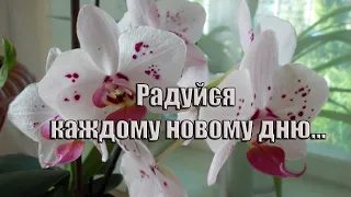 Радуйся каждому новому дню.....                   Музыка Сергея Аверьянова