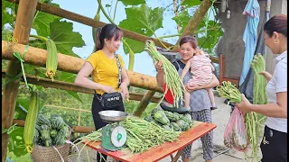 Harvest squash and green beans to bring to the market, vegetable irrigation. Rural girl's life