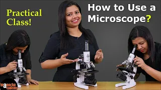 Microscope Parts and Functions | How to Use a Microscope