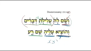 Deuteronomy 22:14a