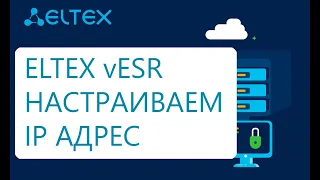 ELTEX vESR назначаем IP адрес на интерфейс