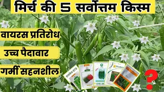 मिर्च की 5 जबरदस्त किस्में | Hybrid Chilli Seeds | Mirch ki Kheti | Armour | Egale | Unnati 60 13