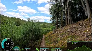 30 minute MTB 🚴‍♀️🌲🌳😍 Workout Indoor Cycling Training Garmin Ultra HD Video