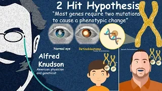 Two hit hypothesis : Retinoblastoma