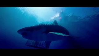 47 Meters Down Trailer #1 (2017) Mandy Moore Movie HD