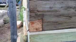 One Man! One old log cabin! Move and restoration.  Part 4 1/2. Finished dovetail cut.