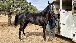 Sensacional Abierto En La Sierra De Durango!!