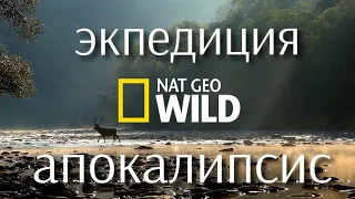 Приключения экспедиции. National Geographic. Документальные фильмы. Экспедиция.