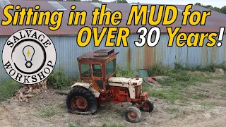 Rescuing 1960's Tractors for USE on a Friends Farm ~ Forgotten in a CROWD of OTHER old Tractors