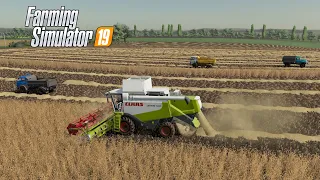 FS19 Timelapse #57 Закончили молотить большое поле с ячменём Claas Lexion 560, ДОН-1500Б, ЗИЛ, МАЗы