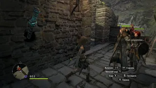 Dragon's Dogma  Dark Arisen 9