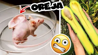 10 Cosas que tienes QUE VER para CREER 🐀 #3