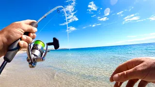 How to catch WHITING on SURFACE lures in the SHORE BREAK. Top water Whiting