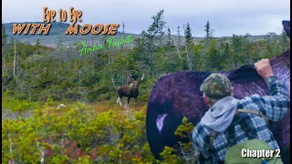 Moose hunt part 2