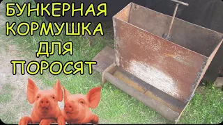 #Свиньи как бизнес"Бункерная кормушка"