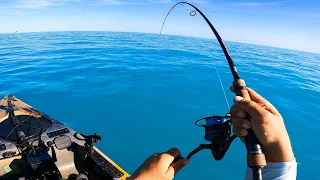 Florida Keys Fishing | One Mile Ledge Exploring (Catch, Clean, Cook)