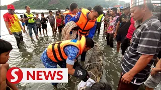Pulau Gaya islanders catch 200kg croc lurking off KK city waters