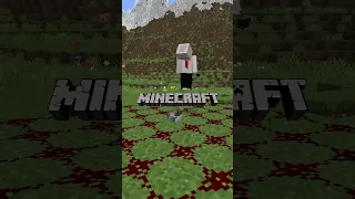 don't do this in a minecraft server