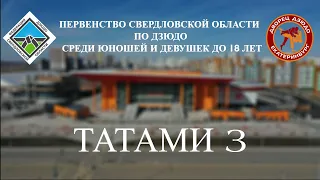 14.04.24 Т3 Первенство Свердловской области по дзюдо среди юношей и девушек до 18 лет