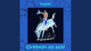 Cowboys On Acid