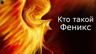 Кто такой: Феникс