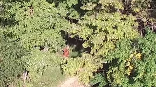 Bigfoot Sighting in Indiana Pennsylvania / Drone Footage