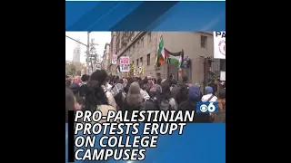 Pro-Palestinian protests erupt on college campuses across the U.S.