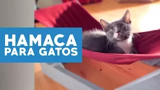 Cómo hacer una hamaca para gatos