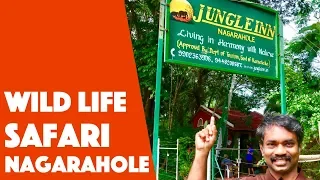 Jungle Inn Resort - Good Resort to stay in Nagarahole for Safari #TravelVlog