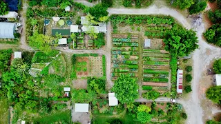 They Transformed a Giant Sandbox Into a THRIVING Food Production Site!