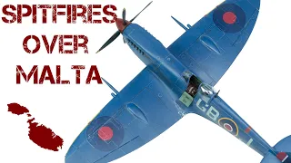 Spitfire Mark IX in Mediterranean Blue Malta scheme (Eduard 1:48 scale model aircraft)