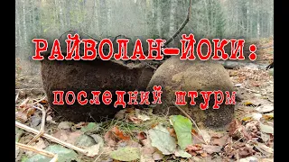 Солдатская записка из воронки у реки!/Раскопки Второй мировой войны