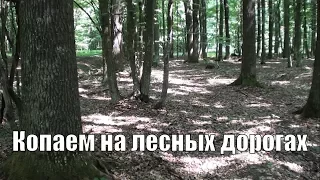 Копаем на лесных дорогах. В поисках золота UA!