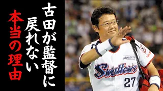 ヤクルト「この人が凄いのは知ってるが…」野村克也の愛弟子でありプロ野球界イチの頭脳を持つ古田敦也が監督に戻れない衝撃の理由