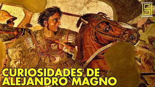 Cosas Impresionantes Que No Sabías Sobre Alejandro Magno