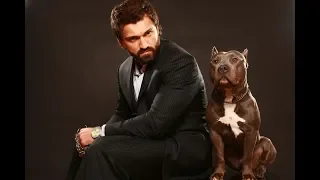 Andrei Arlovski Highlights - Pitbull