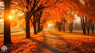 Autumn Melody Of Love 🍁November Autumn🍂 Gentle Music Restores The Nervous System Satisfies The Soul