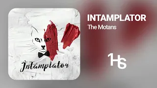 The Motans - Intamplator | 1 Hour