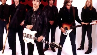 ALOHA STEVE AND DANNO- RADIO BIRDMAN