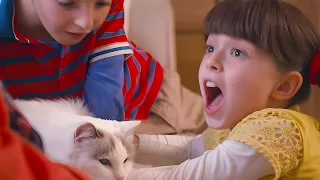 LOST CAT! 🐱 😞 | TOPSY & TIM | WildBrain Kids