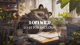 Lo-fi for Raccoon 🦝 | Relax With Raccoon ~ [ Lofi Chill ~ Relaxing ]