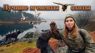 Лучшие моменты охоты, девушка охотник / Best Hunting Moments, girl hunter