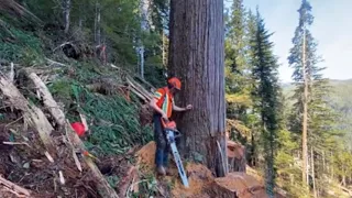 TLDW: Finishing a block with big wood and hazards