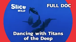 Unravelling the Mystery of the Largest Predators | SLICE WILD | FULL DOCUMENTARY