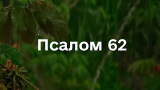 Псалом 62 під звуки дощу та спів пташок, для відпочинку та відновлення, сучасною українською мовою