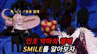 원피스 인조 악마의 열매 먹으면 ㅈ되는 SMILE을 알아보자!