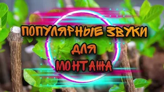 ЭТИ ЗВУКИ ИЩУТ ВСЕ!!!! Популярные звуки для монтажа