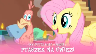 My Little Pony - Sezon 1 Odcinek 22 - Ptaszek na uwięzi