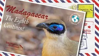 Tropical Birding Madagascar Virtual Tour by Ken Behrens