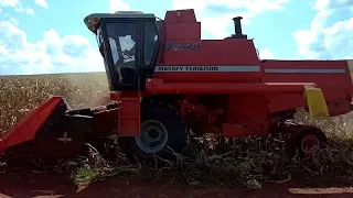 Largada na Colheita de Milho Safra 21/22